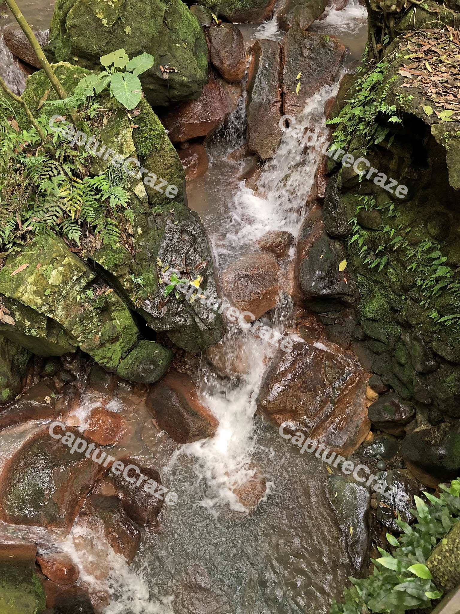 Waterfall in the woods